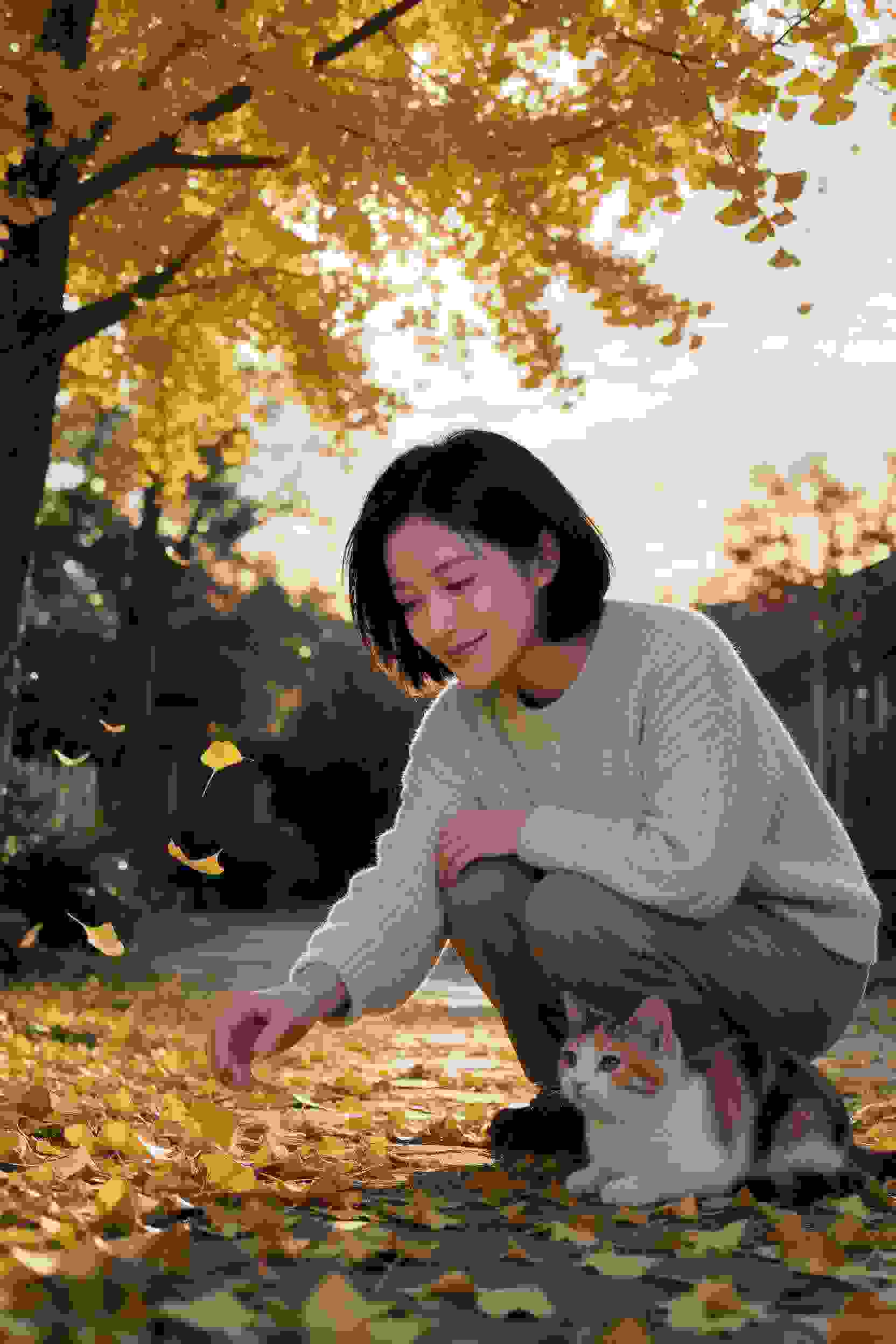 魔法少女的秘密